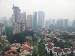 One Tree Hill Residence (D10), Apartment #118123702